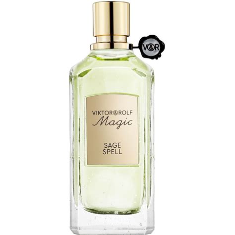 Viktor rolf wizardry with magic sage